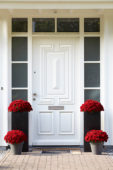 Chrysanthemums at front door
