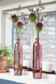 Allium and Statice flowers in vases