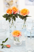 Roses in vases