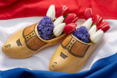 Liberation day celebration Netherlands