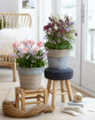 Spring containers