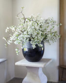 Spring blossom in vase