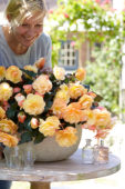 Begonia Fragrant Falls® Peach Begonia Fragrant Falls® Peach