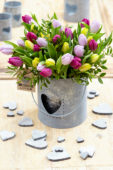 Valentine tulips