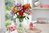 Alstroemeria Red Delight
Alstroemeria Misty Spring
Alstroemeria Moria
Alstroemeria Elegance
Alstroemeria Party