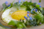 Fried egg with Blue Ocean flowers