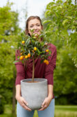 Lady holding citrus plant