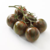 Solanum lycopersicum, tiger tomato