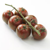 Solanum lycopersicum, tiger tomato