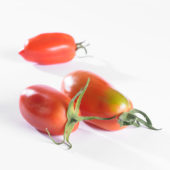 Solanum lycopersicum, pomodori tomaat
