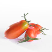 Solanum lycopersicum, pomodori tomaat