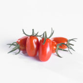 Solanum lycopersicum, red mini pomodori tomato