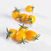 Solanum lycopersicum, yellow mini pomodori tomato