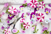 Gemengde bloemen collage