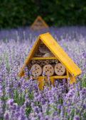 Insect hotel in lavender field