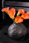 Zantedeschia in vase