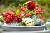 Decorative fruits and flowers