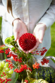 Decorative fruits and flowers