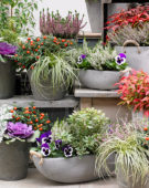 Winter containers