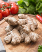Zingiber officinale