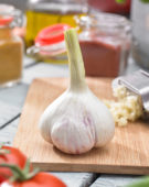 Allium sativum