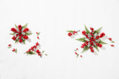 Winter collage