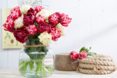 Tulipa boeket