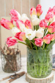 Tulipa boeket