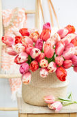 Tulipa Pride boeket