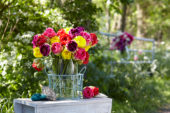 Tulipa Pop Up bouquet