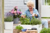Lady cutting herbs