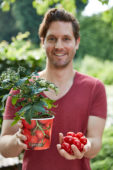 Man holding tomato plant