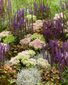 Mixed perennials