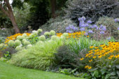 Vaste planten border