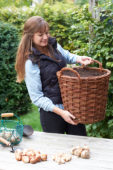 Young lady carrying basket with planted bulbs