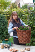 Young lady with bulbs and pansies in basket