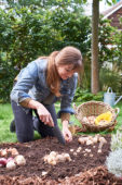 Young lady planting flower bulbs