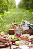 Orchard picnic