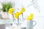 Spring flowers in light bulbs