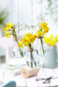Spring flowers in light bulbs