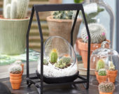
  	  	  	
 
  	  	  	 
  	  	  	
Dutch 	
 
	  	  	
 
	  	  	
 
	  	  	
 
	  	  	
 
	  	  	
 
	  	  	
 
	  	  	
 
	  	 
	

  	  	  	
  	  	

  	  	  	
 
  	  	  	 
  	  	  	
Dutch 	
 
	  	  	
 
	  	  	
 
	  	  	
 
	  	  	
 
	  	  	
 
	  	  	
 
	  	  	
 
	  	 
	

  	  	  	
=
  	  	  	
 
  	  	  	 
  	  	  	
Dutch 	
 
	  	  	
 
	  	  	
 
	  	  	
 
	  	  	
 
	  	  	
 
	  	  	
 
	  	  	
 
	  	 
	

  	  	  	
Cactus combinatie in glas 	  	
  	
