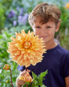 Boy with Dahlia Ben Huston flower
