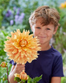 Boy with Dahlia Ben Huston flower