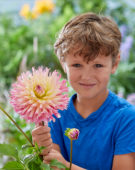Jongetje met Dahlia Nenekazi bloem