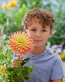Jongetje met Dahlia Felida Solar Flair bloem