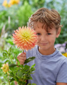 Jongetje met Dahlia Felida Solar Flair bloem