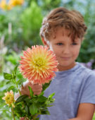Boy with Dahlia Felida Solar Flair flower