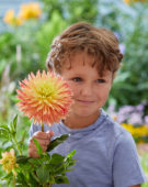 Boy with Dahlia Felida Solar Flair flower