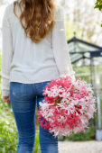 Young lady with Nerine flowers