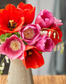 Tulip mix in vase